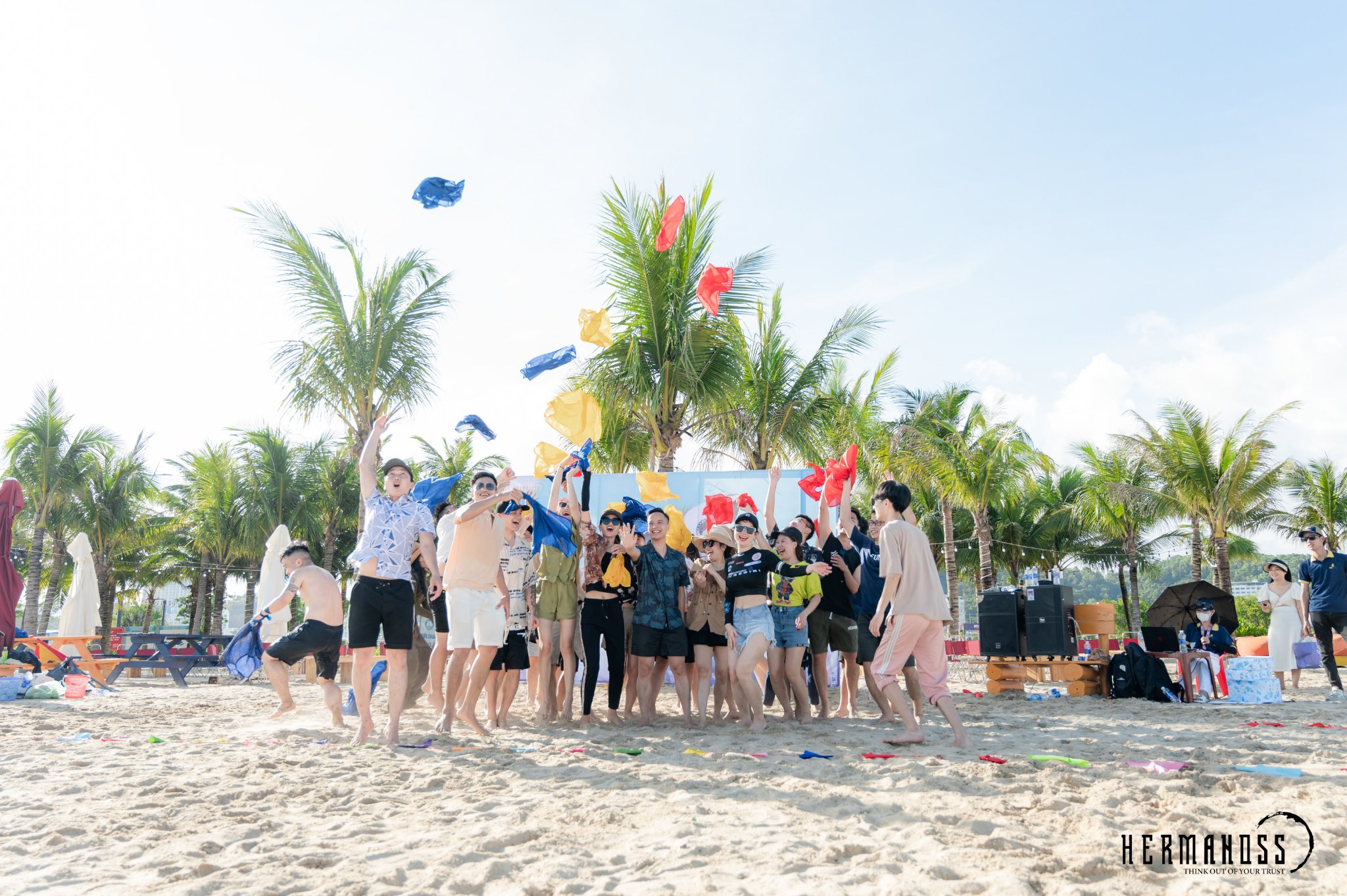lĩnh vực hoạt động